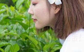 MiStar魅妍社 – 定制双人图集，芝芝Booty和我：不是情侣也能这么有默契，谁说要有爱情才能双人出击！